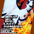 Robbie Williams -What We Did.. 2DVD + Live At The Albert DVD - pikkukuva 1