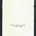EO 8043 - Historiallinen nelkku - Carl von Linné - pikkukuva 2