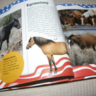 Amerikan unelmahevoset - pikkukuva 2