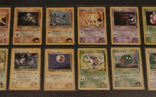 Pokemon Gym Heroes, Gym Challenge kortit