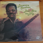 Lonsome Sundown:Been Gone too Long LP - pikkukuva 1
