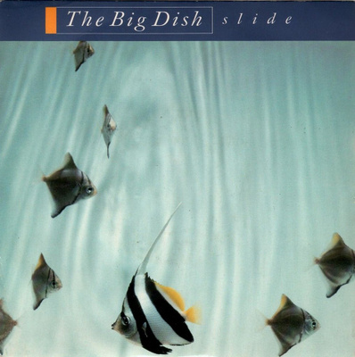 The Big Dish: Slide 7"