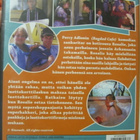 ROSALIE LÄHTEE OSTOKSILLE DVD UUSI - pikkukuva 2