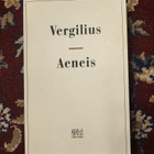 Aeneis Vergilius - pikkukuva 1