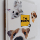 Carlton Uk ym. : The Puppy : Artlist Collection - pikkukuva 1