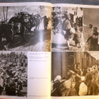 Pekka Kyytinen : Karjala elää uusilla asuinsijoilla 1955 1.p - pikkukuva 2