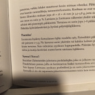 Pähkinöitä omasta puutarhasta - pikkukuva 4