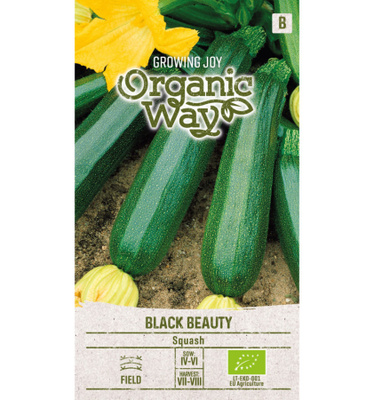 Kesäkurpitsa "Black Beauty" - siemenet #
