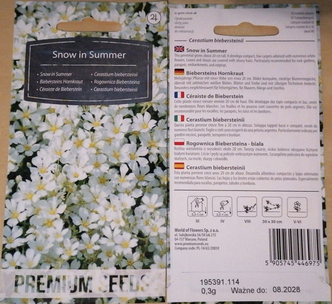 Nukkahärkki 'Snow In Summer' - siemenet #