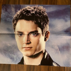 Elijah Wood julisteet ja tarra  - pikkukuva 2