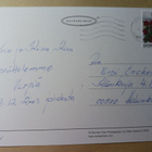 Jim-kissa juhlahatussaan, p. 2002 - pikkukuva 2