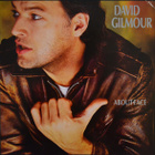David Gilmour – About Face - pikkukuva 1