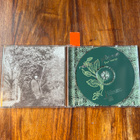 Rebecca Pidgeon - Four Marys cd Chesky Records - pikkukuva 5