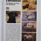 Ing-Marie E-Son Thoor : Labradoren - pikkukuva 2