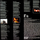 TRUST :: MARCHE OU CREVE :: VINYYLI LP 1981 - pikkukuva 5