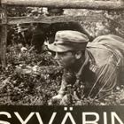 HAAPANEN: SYVÄRIN SISSIT - pikkukuva 1