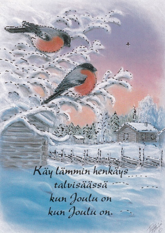 TERHO PELTONIEMI - PUNATULKUT OKSALLA - 3