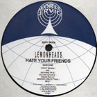 Lemonheads - Hate Your Friends LP 1987 UK Vinyyli - pikkukuva 3