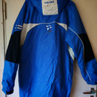Torino 2006 Leijonat Olympiatakki - pikkukuva 1