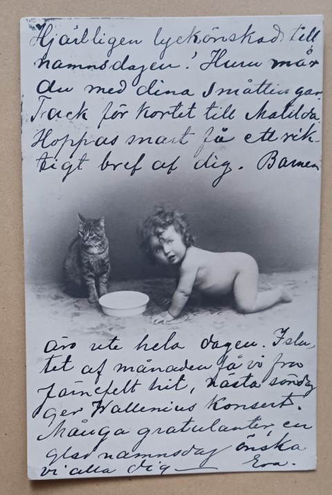 Vauva ja kissa samalla maitokupilla, vanha mv pk, p. 1913