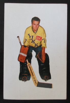 Risto Kaitala Rauman Lukko Champion 1966
