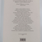 Johann Wolfgang von Goethe : Italian matka päiväkirjoineen - pikkukuva 2