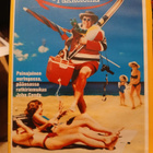 Pakkoloma ja raivopää vhs - pikkukuva 1