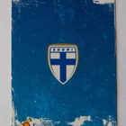 Huuhkajat 2013 - 159 Emmi Alanen - pikkukuva 2