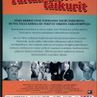 OHUKAINEN & PAKSUKAINEN - TAITAMATTOMAT TAIKURIT DVD - pikkukuva 2