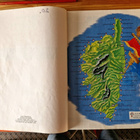 Asterix 20 Asterix korsikassa .1 painos - pikkukuva 5