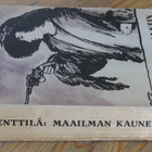 Simo Penttilä: Maailman kaunein nainen, Otava 1921. 1p. 287s - pikkukuva 3
