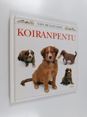 Jane Burton : Koiranpentu