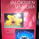 Dud'a : Jalokivien maailma  ( SIS POSTIKULU) - pikkukuva 2