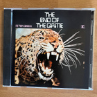 Peter Green - The end of the game CD - pikkukuva 1