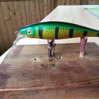 Jesse Finland 10,5cm - pikkukuva 2