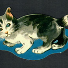 EO 5302 - Suloinen harmaa kissa - 1950-luvulta - pikkukuva 1