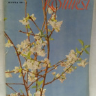 Kotiliesi No 10 toukokuu 1949 - pikkukuva 1