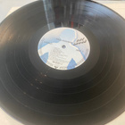 Paul Rodgers: Cut Loose 1983 LP - pikkukuva 3