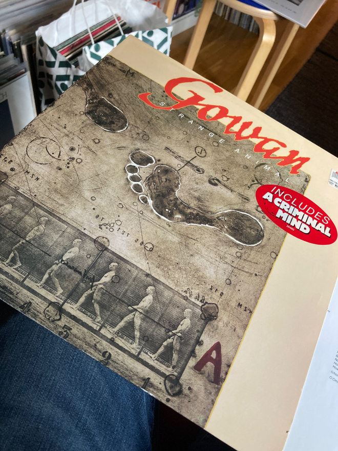 Gowan Strange animal lp alt prog 1984