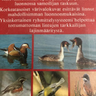 LINNUT - MÄÄRITYSOPAS 330 LAJIA - pikkukuva 2