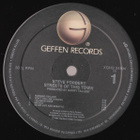 STEVE FORBERT ~ Streets Of This Town ~ LP - pikkukuva 4