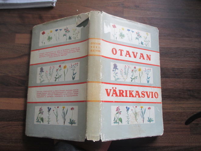 OTAVAN VÄRIKASVIO ( 3,p v 1956 ilmari hiitonen