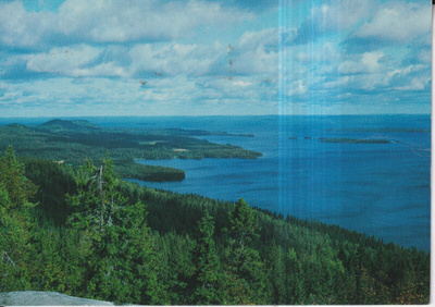 Koli, Koli-Berg , e167