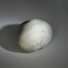 Opalisoitunut simpukankuori kokonainen 35.8 mm / 92.96 ct - pikkukuva 2