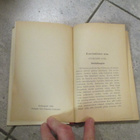 YKSIN MAAILMALLA - nuorten kirjoja N:o 14 ( v 1905 !!! - pikkukuva 4
