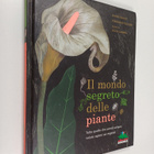Jeanne Failevic ym. : Il mondo segreto delle piante - pikkukuva 1