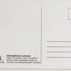 "Haarapääskyn poikaset"-KULKEMATON POSTIKORTTI - pikkukuva 2