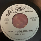 BUDDY GUY: This Is The End * I Hope You Come Back Home - pikkukuva 2