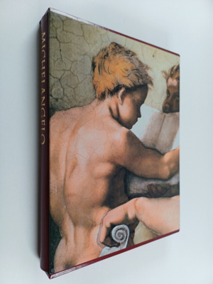 Pierluigi De Vecchi : Michelangelo : Vatikaanin freskot (...