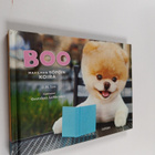 J. H. Lee : Boo : maailman söpöin koira - Maailman söpöin... - pikkukuva 1
